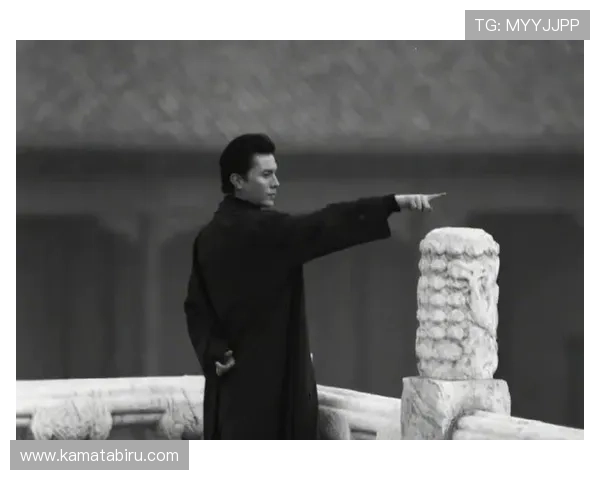 尊龙新版app官网特色功能大揭秘，玩转娱乐新时尚