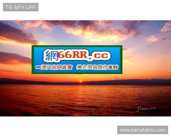 凯时首页入口:快速进入官网首页的便捷操作方法解析