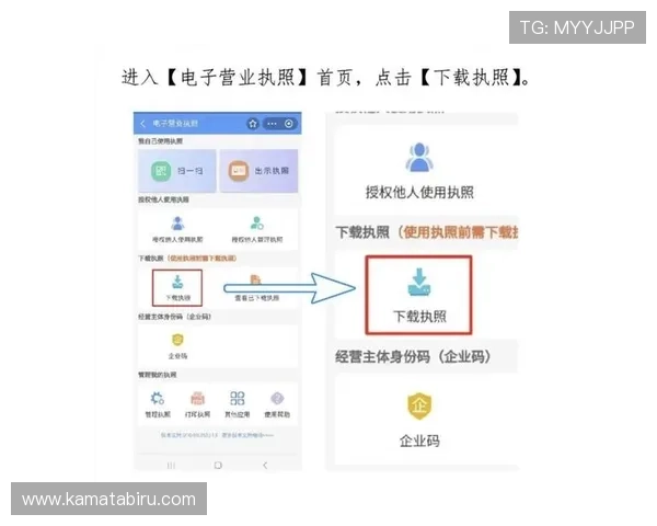 开云电子官方入口常见问题解答及最新使用指南，助你轻松应对各种登录问题