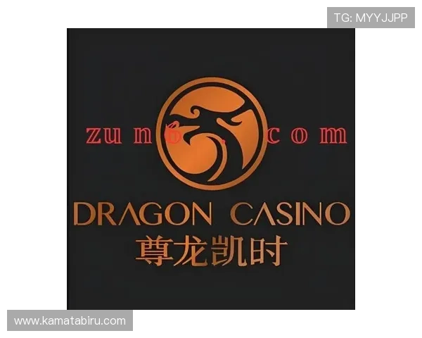 尊龙时凯人生就是赢下载：下载平台助力个人成长与事业成功的关键路径